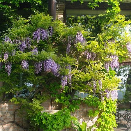 La Casa Sopra Le Nuvole Villa Medesano Dış mekan fotoğraf