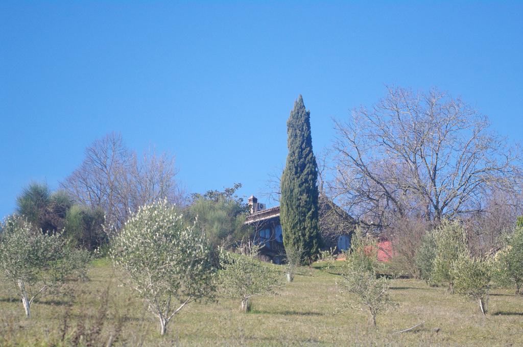 La Casa Sopra Le Nuvole Villa Medesano Dış mekan fotoğraf