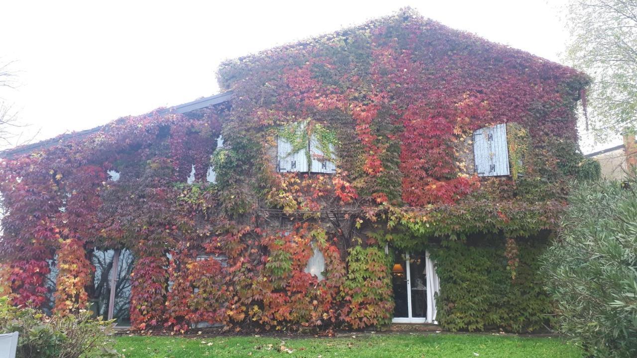 La Casa Sopra Le Nuvole Villa Medesano Dış mekan fotoğraf