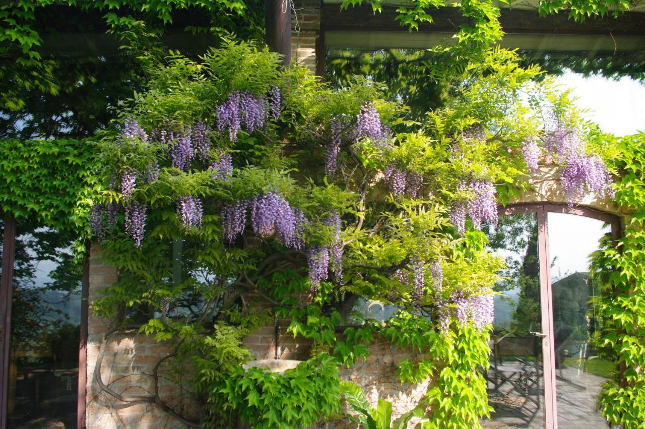 La Casa Sopra Le Nuvole Villa Medesano Dış mekan fotoğraf